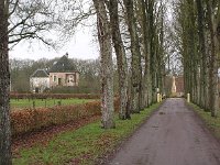 NL, Overijssel, Steenwijkerland, De Eese 1, Saxifraga-Hans Dekker