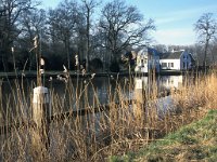 NL, Utrecht, Loenen 2, Saxifraga-Hans Dekker