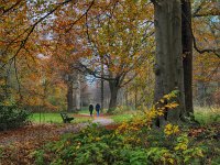 NL, Zuid-Holland, Rijswijk, Overvoorde 3, Saxifraga-Dirk Hilbers