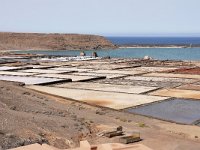 E, Las Palmas, Yaiza, Salinas de Janubio 2, Saxifraga-Tom Heijnen