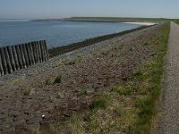 NL, Zeeland, Noord-Beveland, Oostnol 1, Saxifraga-Jan van der Straaten