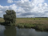 NL, Noord-Brabant, Altena, Steurgat, Polder Pauluszand 2, Saxifraga-Willem van Kruijsbergen