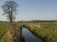 NL, Noord-Brabant, Bergeijk, Heijerdijk, Keersopbeemden 6, Saxifraga-Jan van der Straaten