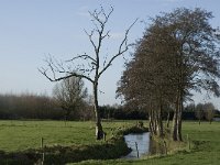 NL, Noord-Brabant, Bergeijk, Hoeker Beemden 8, Saxifraga-Jan van der Straaten