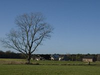 NL, Noord-Brabant, Bergeijk, Liskens 3, Saxifraga-Jan van der Straaten