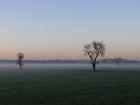 NL, Noord-Brabant, Eersel, Meester van Hasseltweg 1, Saxifraga-Tom Heijnen