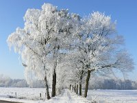 NL, Noord-Brabant, Oirschot, Mortelen 13, Saxifraga-Tom Heijnen