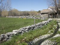 E, Avila, Navarradonda de Gredos 76, Saxifraga-Willem van Kruijsbergen