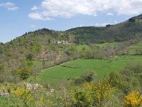 F, Ardeche, Saint-Genest-Lachamp, Chemin de Bougnard 1, Saxifraga-Tom Heijnen