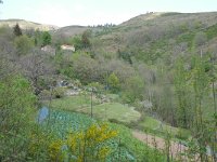 F, Ardeche, Saint-Genest-Lachamp, Chemin de Bougnard 4, Saxifraga-Tom Heijnen