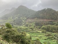 P, Viana do Castelo, Acros de Valdevez, Gavieira 3, Saxifraga-Kees Marijnissen