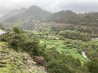 P, Viana do Castelo, Acros de Valdevez, Gavieira 4, Saxifraga-Kees Marijnissen