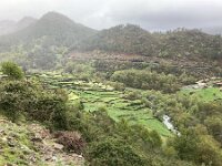 P, Viana do Castelo, Acros de Valdevez, Gavieira 5, Saxifraga-Kees Marijnissen