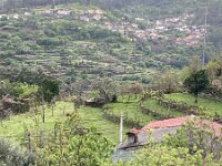 P, Viana do Castelo, Acros de Valdevez, Soajo 13, Saxifraga-Kees Marijnissen