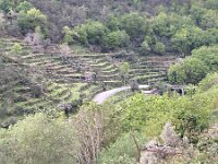 P, Viana do Castelo, Acros de Valdevez, Soajo 14, Saxifraga-Kees Marijnissen