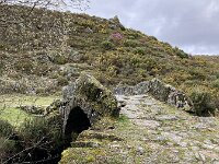 P, Viana do Castelo, Melgaco, Lamas de Mouro 5, Saxifraga-Kees Marijnissen