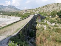 AL, Shkoder, Shkoder, Ura e Mesit 1, Saxifraga-Tom Heijnen