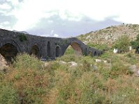 AL, Shkoder, Shkoder, Ura e Mesit 2, Saxifraga-Tom Heijnen