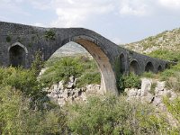 AL, Shkoder, Shkoder, Ura e Mesit 3, Saxifraga-Tom Heijnen