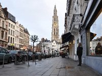 B, Antwerpen, Antwerpen, Onze-Lieve-Vrouwe-kathedraal, Saxifraga-Tom Heijnen