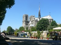 F, Paris, Paris, Cathedrale Notre-Dame de Paris, Saxifraga-Tom Heijnen