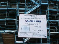 I, Città Metropolitana di Roma Capitale, Roma 11, Saxifraga-Jan van der Straaten