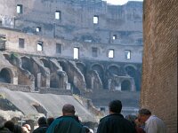 I, Città Metropolitana di Roma Capitale, Roma 15, Saxifraga-Jan van der Straaten