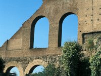 I, Città Metropolitana di Roma Capitale, Roma 20, Saxifraga-Jan van der Straaten