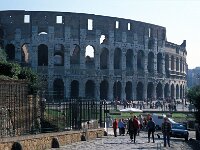 I, Città Metropolitana di Roma Capitale, Roma 21, Saxifraga-Jan van der Straaten