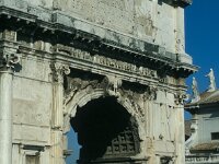 I, Città Metropolitana di Roma Capitale, Roma 24, Saxifraga-Jan van der Straate