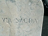 I, Città Metropolitana di Roma Capitale, Roma 25, Saxifraga-Jan van der Straaten
