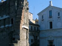 I, Città Metropolitana di Roma Capitale, Roma 8, Saxifraga-Jan van der Straaten