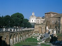 I, Città Metropolitana di Roma Capitale, Roma 9, Saxifraga-Jan van der Straaten