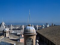 I, Città Metropolitana di Roma Capitale, Stato della Citta del Vaticano, Basilica di San Pietro 11, Saxifraga-Jan van der Straaten