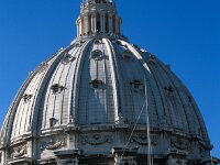 I, Città Metropolitana di Roma Capitale, Stato della Citta del Vaticano, Basilica di San Pietro 13, Saxifraga-Jan van der Straaten