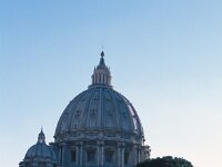 I, Città Metropolitana di Roma Capitale, Stato della Citta del Vaticano, Basilica di San Pietro 14, Saxifraga-Jan van der Straaten