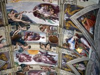 I, Città Metropolitana di Roma Capitale, Stato della Citta del Vaticano, Basilica di San Pietro 24, Saxifraga-Jan van der Straaten