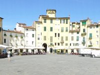 I, Lucca, Lucca 1, Plaza dell'Anfiteatro 1, Saxifraga-Tom Heijnen