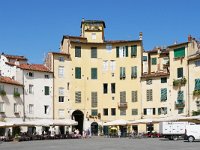 I, Lucca, Lucca 1, Plaza dell'Anfiteatro 2, Saxifraga-Tom Heijnen