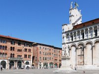 I, Lucca, Lucca, Piazza San Michele, Saxifraga-Tom Heijnen