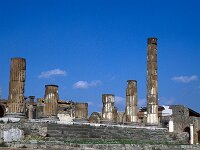 I, Napoli, Pompeiii 17, Saxifraga-Jan van der Straaten