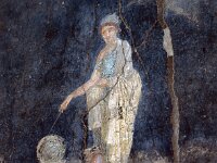 I, Napoli, Pompeiii 27, Saxifraga-Jan van der Straaten