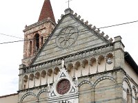 I, Pistoia, Pistoia, Chiesa Cattolica Parrocchiale San Paolo, Saxifraga-Tom Heijnen