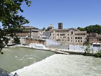 I, Roma, Roma, Tevere in Roma city, Saxifraga-Tom Heijnen