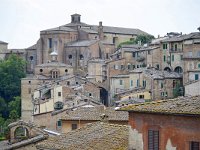 I, Siena, Siena, Chiesa di Sant'Agostino, Saxifraga-Tom Heijnen