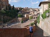 I, Siena, Siena, Via del Costone, Saxifraga-Tom Heijnen