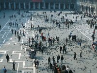 I, Venezia, Venezia, Piazza San Marco 3, Saxifraga-Jan van der Straaten