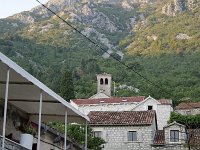 MNE, Kotor, Perast 5, Saxifraga-Tom Heijnen