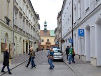 PL, Malopolskie, Krakow 2, Saxifraga-Tom Heijnen