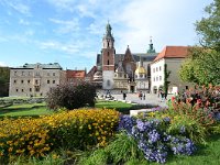 PL, Malopolskie, Krakow, Wawel 2, Saxifraga-Tom Heijnen